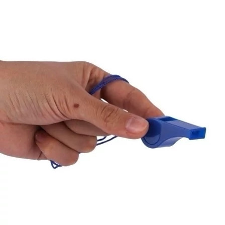 سوت ورزشی